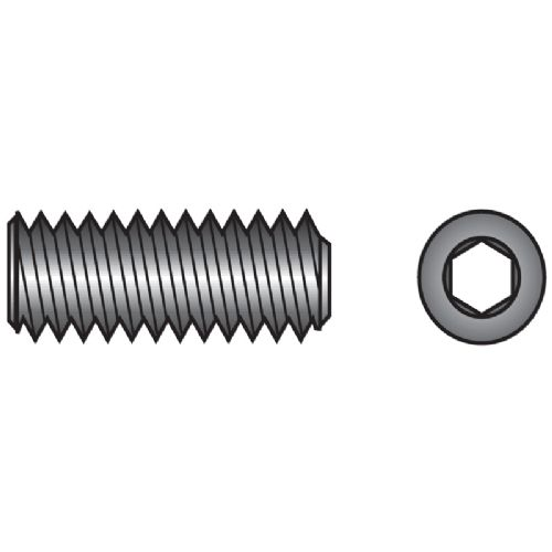 PinolSkrue m/flad spids M5 x 10  DIN  916 A4  Pose á 6 stk.