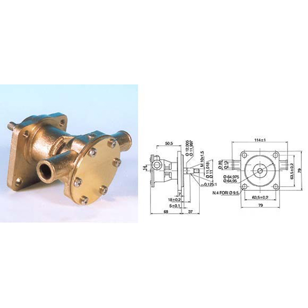 Pumpe med flange til motor st 123