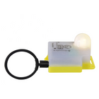 Lamp for dan buoy
