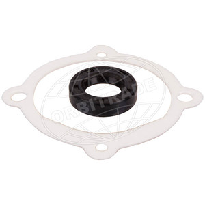 Orbitrade Gasket set sea water pump