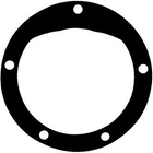Dichtung für Impellerpumpe 5 Löcher.2362