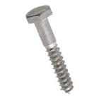 French screw, galvanized DIN 571 16x160mm