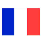 1852 Gæsteflag Frankrig 30x45cm