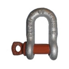 Schäkel RP "D" m/Augenbolzen 3/4" 4,75T (f. Drahtseil 16 mm)