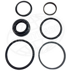 Orbitrade Dichtungssatz Lenkkolben DPH/DPR