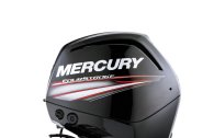 Mercury F 100 ELPT EFI