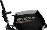 Mercury F 15 ELH EFI