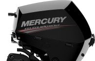 Mercury F 15 MH