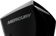 Mercury F 175 L XL DS