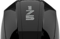 Mercury F 175 L XL DS