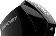 Mercury F 175 L XL DS