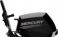 Mercury F 20 MH EFI