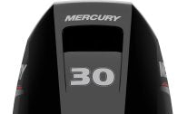 Mercury F 30 ELPT EFI
