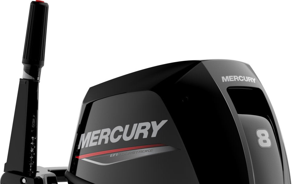 Mercury F 8 MH EFI